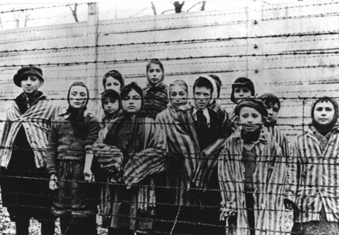 <p>A genocide in which Adolf Hitler's Nazi Germany and its collaborators killed about six million Jews and members from other fringe social groups during World War II.</p>