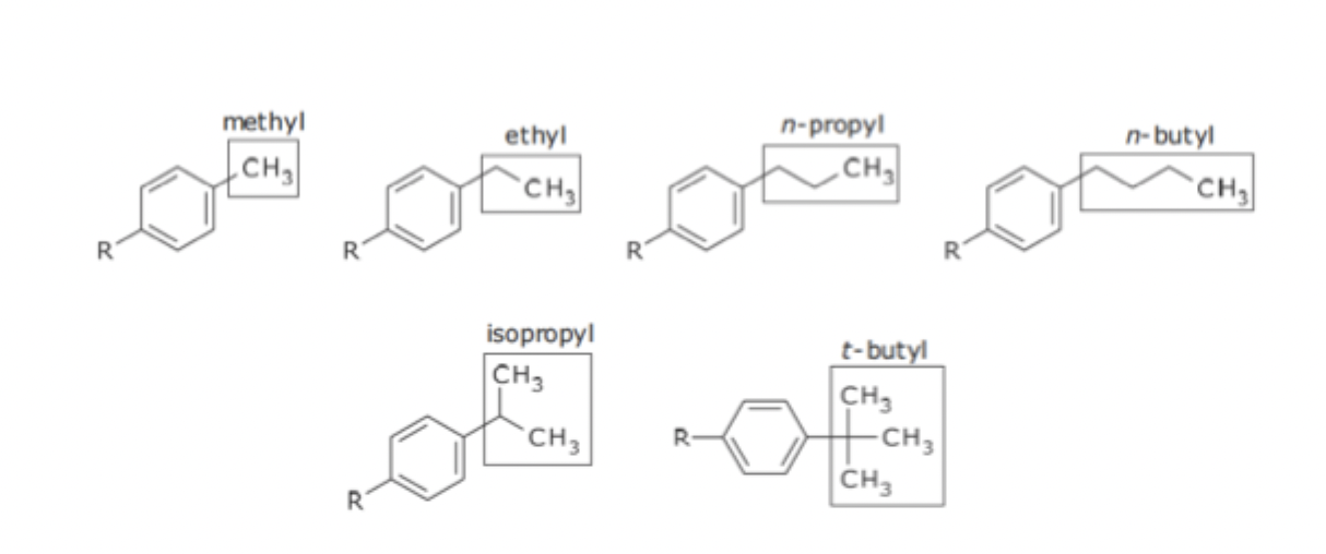 <ul><li><p>Extending a hydrocarbon chain by successively adding methylene groups</p></li><li><p>Increases size and lipophilicity of FG</p></li><li><p>Ex. N - Homologation of epinephrine makes it beta selective</p></li></ul><p></p>