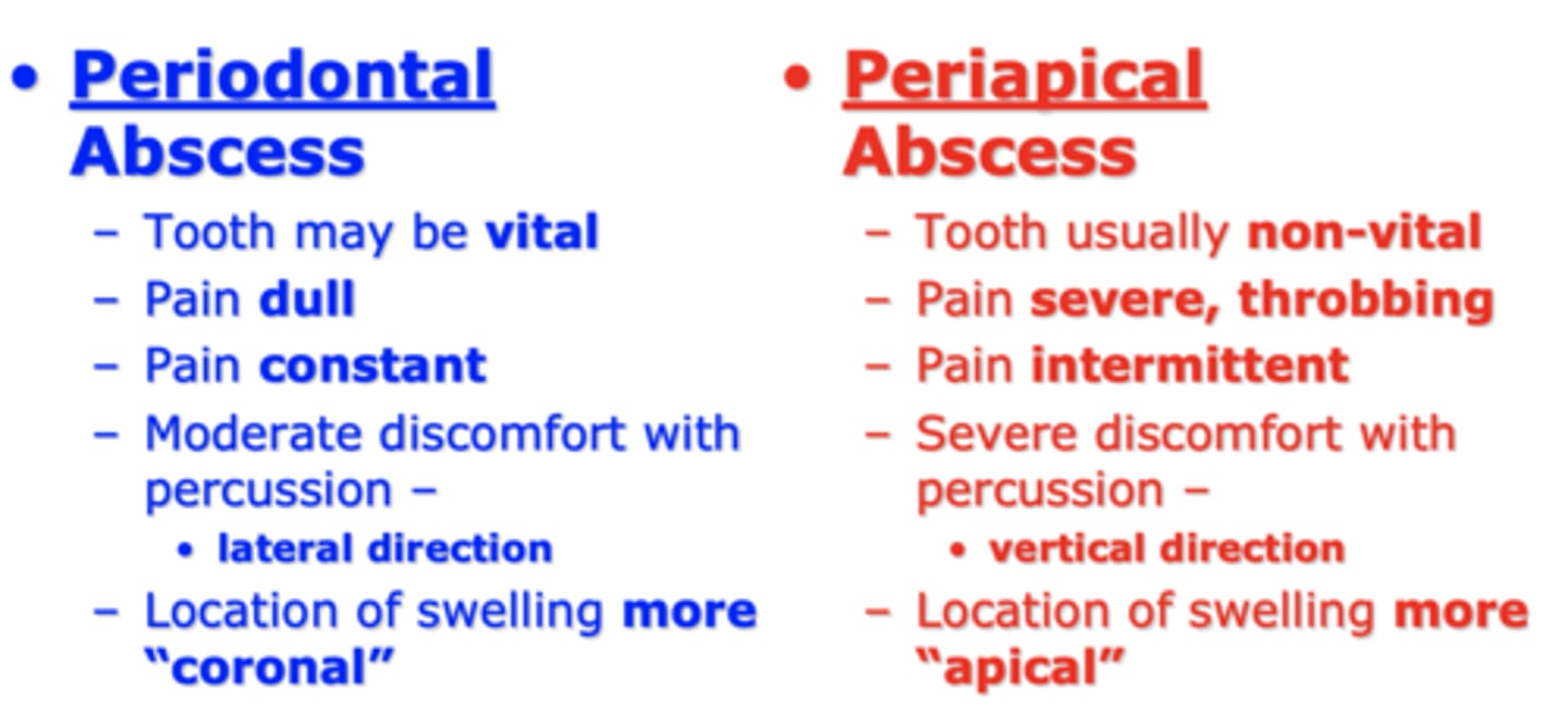 <p>- Periapical abscesses stem from infections within the tooth pulp and occur at the tooth's root</p><p>- Periodontal abscesses originate from infections in the gums and supporting structures surrounding the tooth</p>