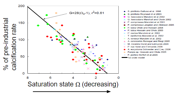 <p>Using the provided graph, what inference can you make about the relationship between the calcification rate of corals and the saturation rate?</p>
