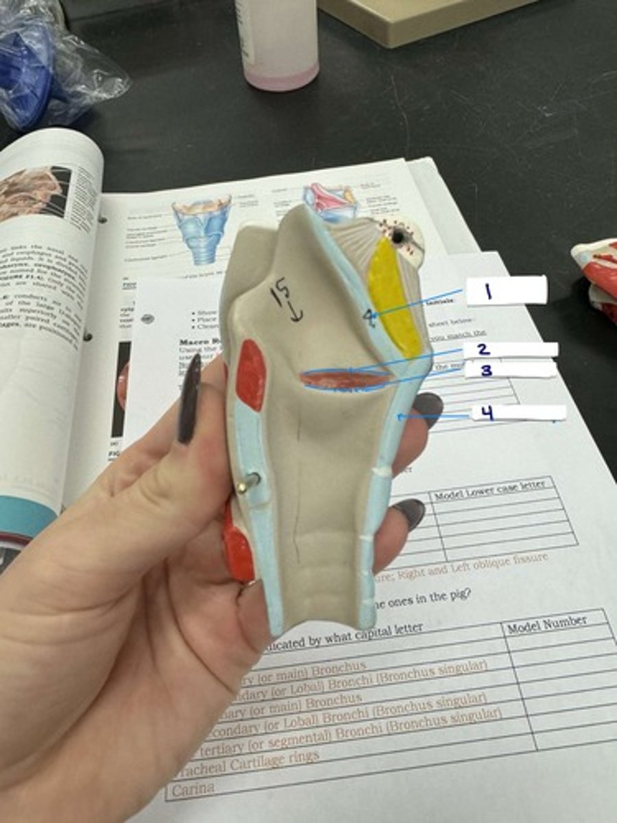 <p>What is number 3?</p>