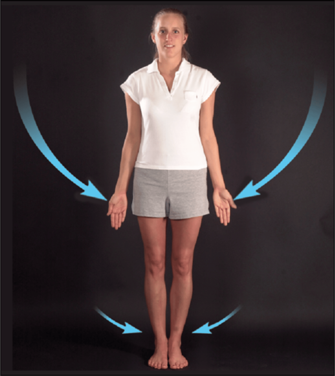 <p>moves toward midline</p>