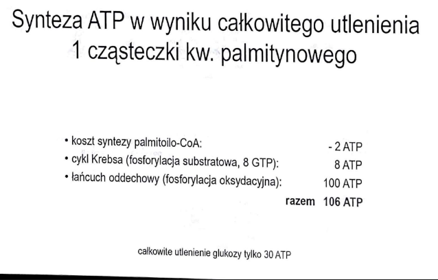 <p>106 cząsteczek</p>