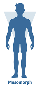 <p>A mesomorph is a body type characterized by a muscular and athletic build.</p>