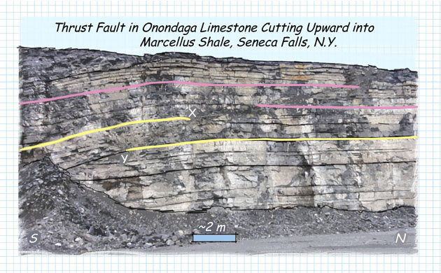 The wall of this quarry near Seneca Falls, New York, exposes a fault that cuts across bedding in the Onondaga Limestone. The fault has caused offset in the beds delineated by the pink and yellow lines. Based on looking at the offset of the beds, which type of fault is this?

a. strike-slip fault

b. thrust fault

c. normal fault

d. unconformity