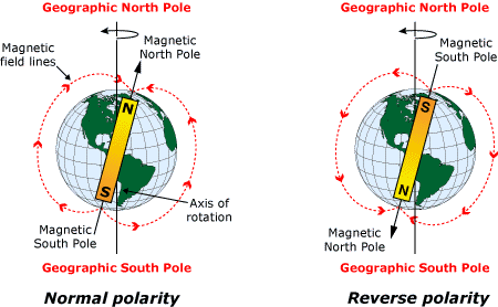 <p>Normal Polarity </p><ul><li><p>magnetic North points roughly towards the</p><ul><li><p>geographical North&nbsp;</p></li></ul></li><li><p>magnetic South points roughly towards the</p><ul><li><p>geographical South</p></li></ul></li></ul><p></p><p>Reverse Polarity</p><ul><li><p>magnetic North points roughly towards the</p><ul><li><p>geographical South</p></li></ul></li><li><p>magnetic South points roughly towards the&nbsp;</p><ul><li><p>geographical North&nbsp;</p></li></ul></li></ul><p></p><p>Overtime, Earth’s polarity has flipped multiple times</p><ul><li><p>alternating between normal and reverse polarity</p></li></ul><p></p>