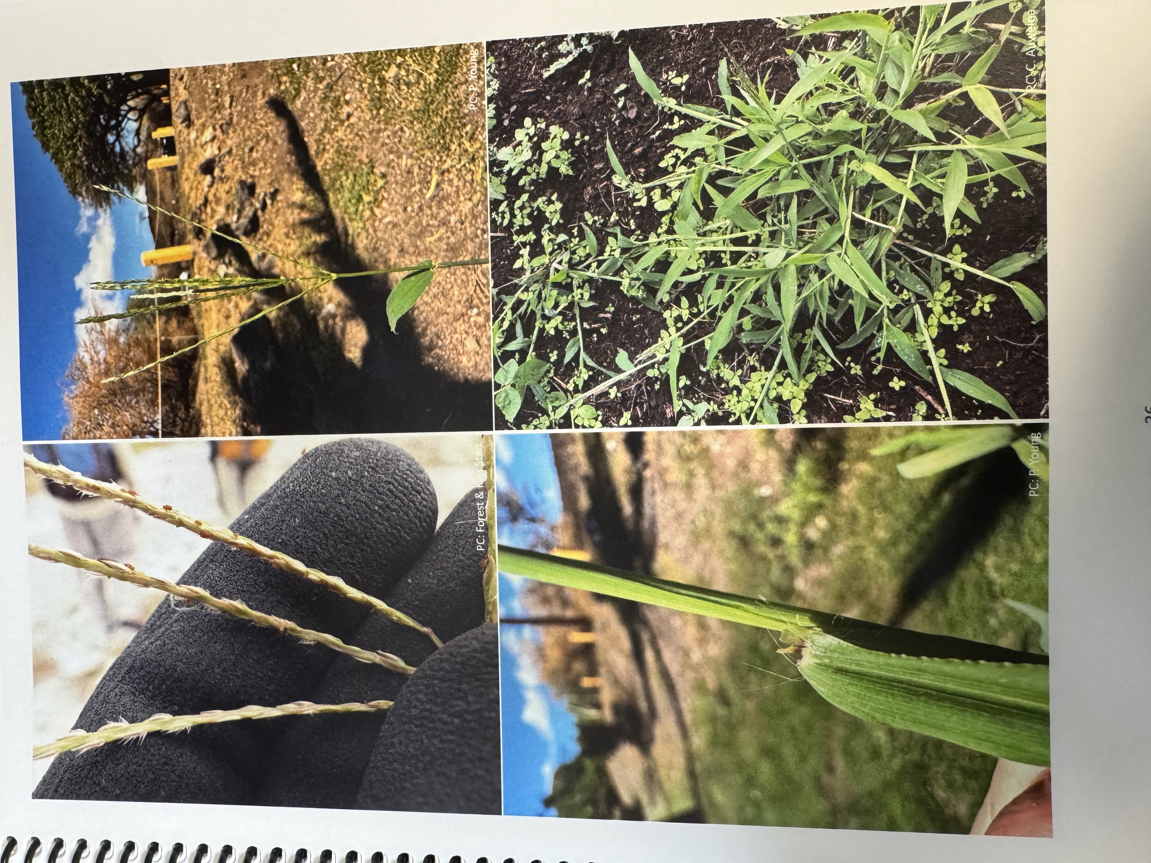 <img src="blob:null/135754a8-5026-4e1a-9ff7-c3c76ba68b66"><p></p>