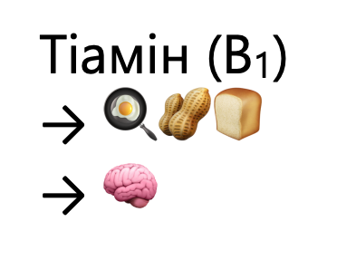 <ul><li><p>обмін білків, жирів, вуглеводів</p></li><li><p>діяльність нервової системи</p></li></ul><p></p>