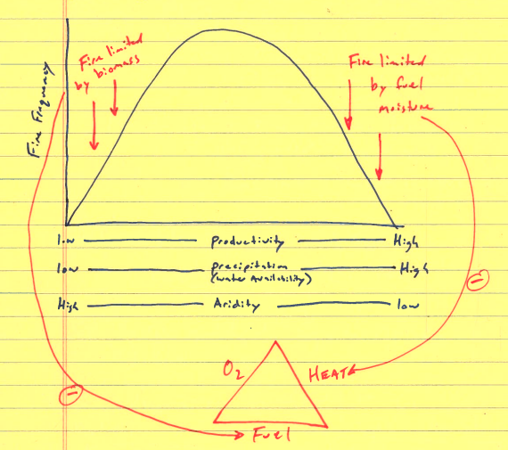 <p>What should I understand from Fig 6.6?</p>