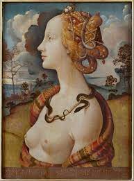 <p>Piero di cosimo </p><p>portrait of a woman </p><p>oil on panel</p>