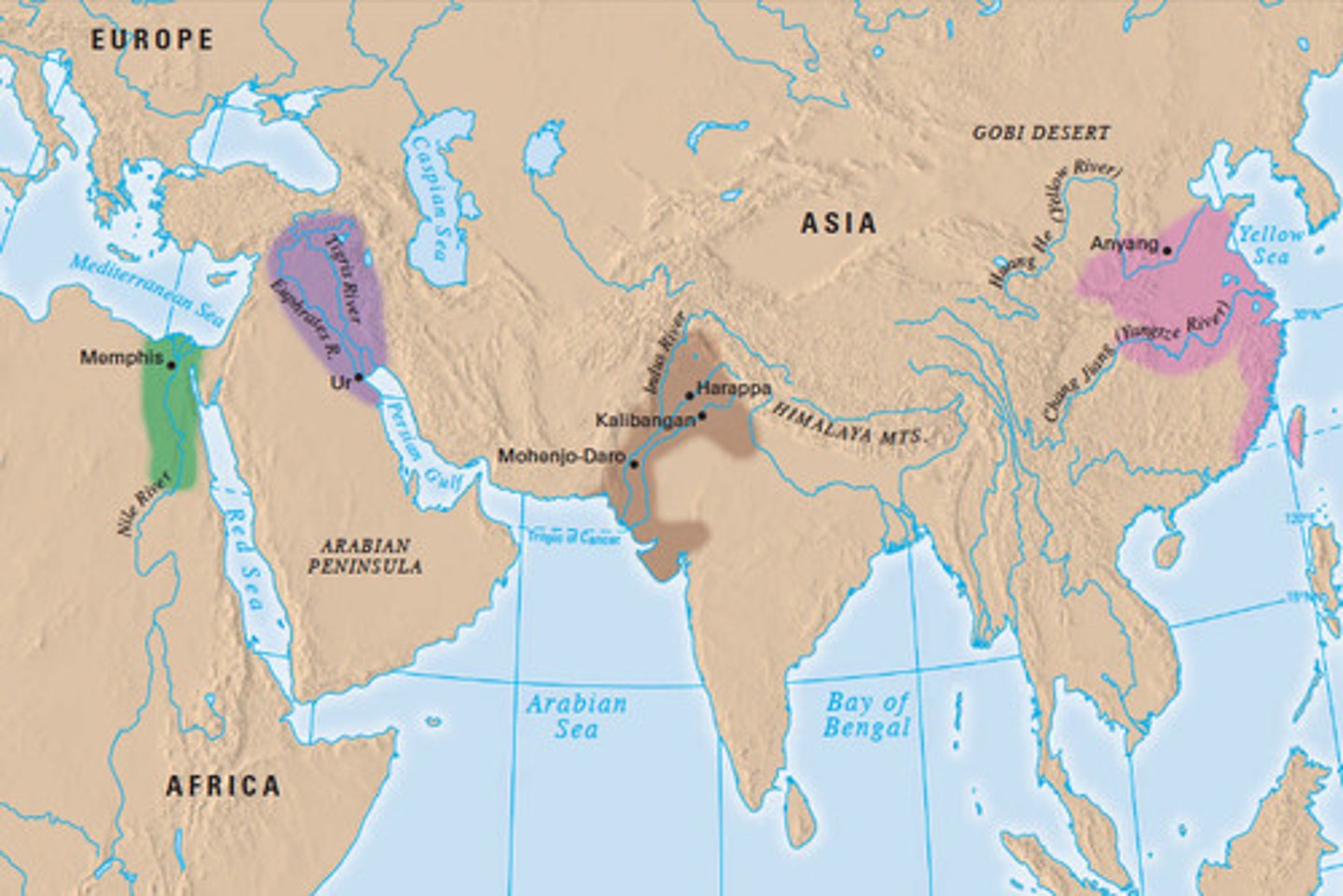 <p>Two regions where large amounts of raw cotton were produced for export.</p>