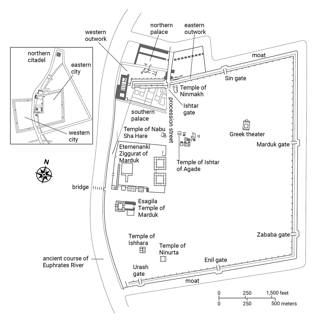 term image