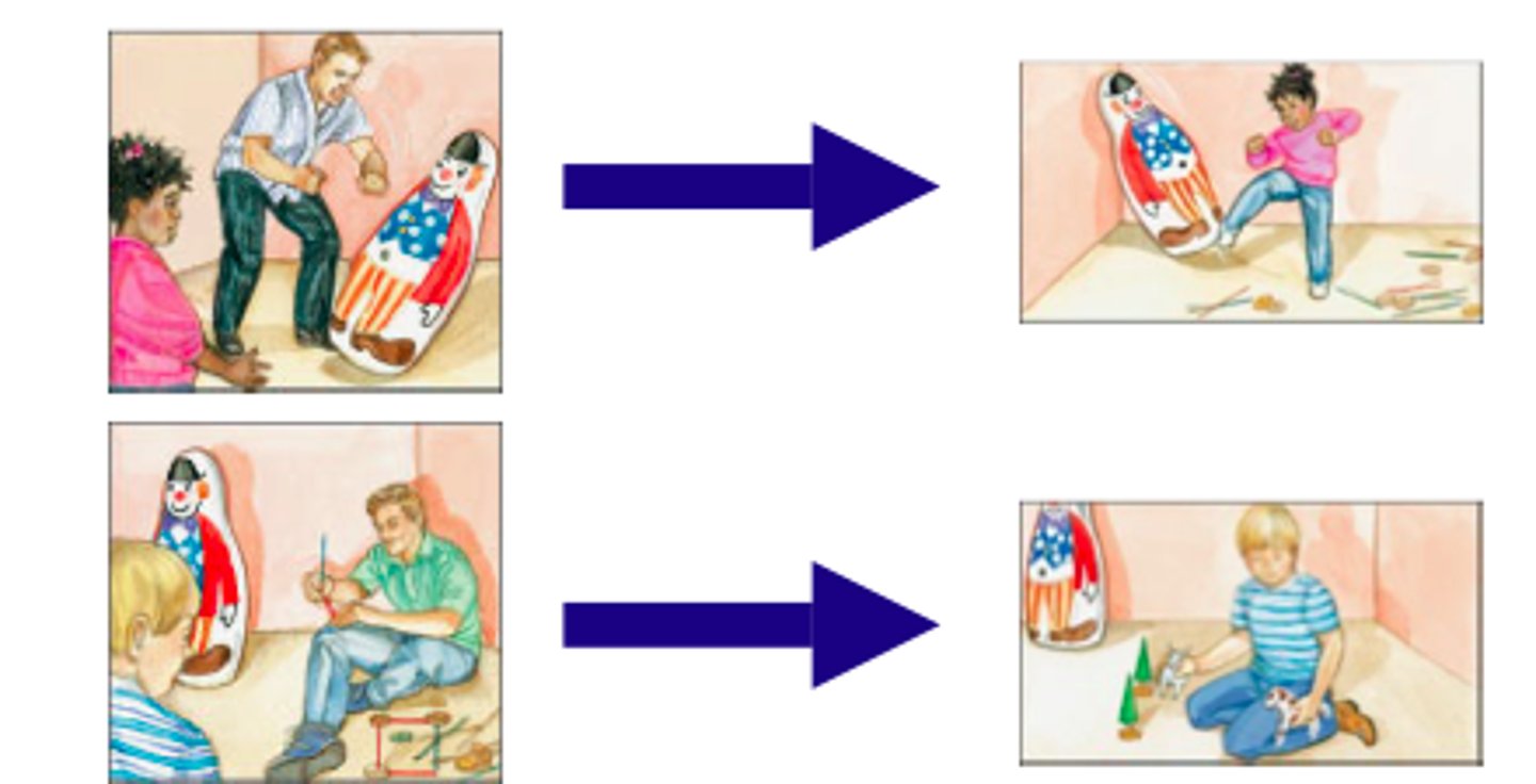 <p>suggests that social behavior is learned by observing and imitating the behavior of others</p>