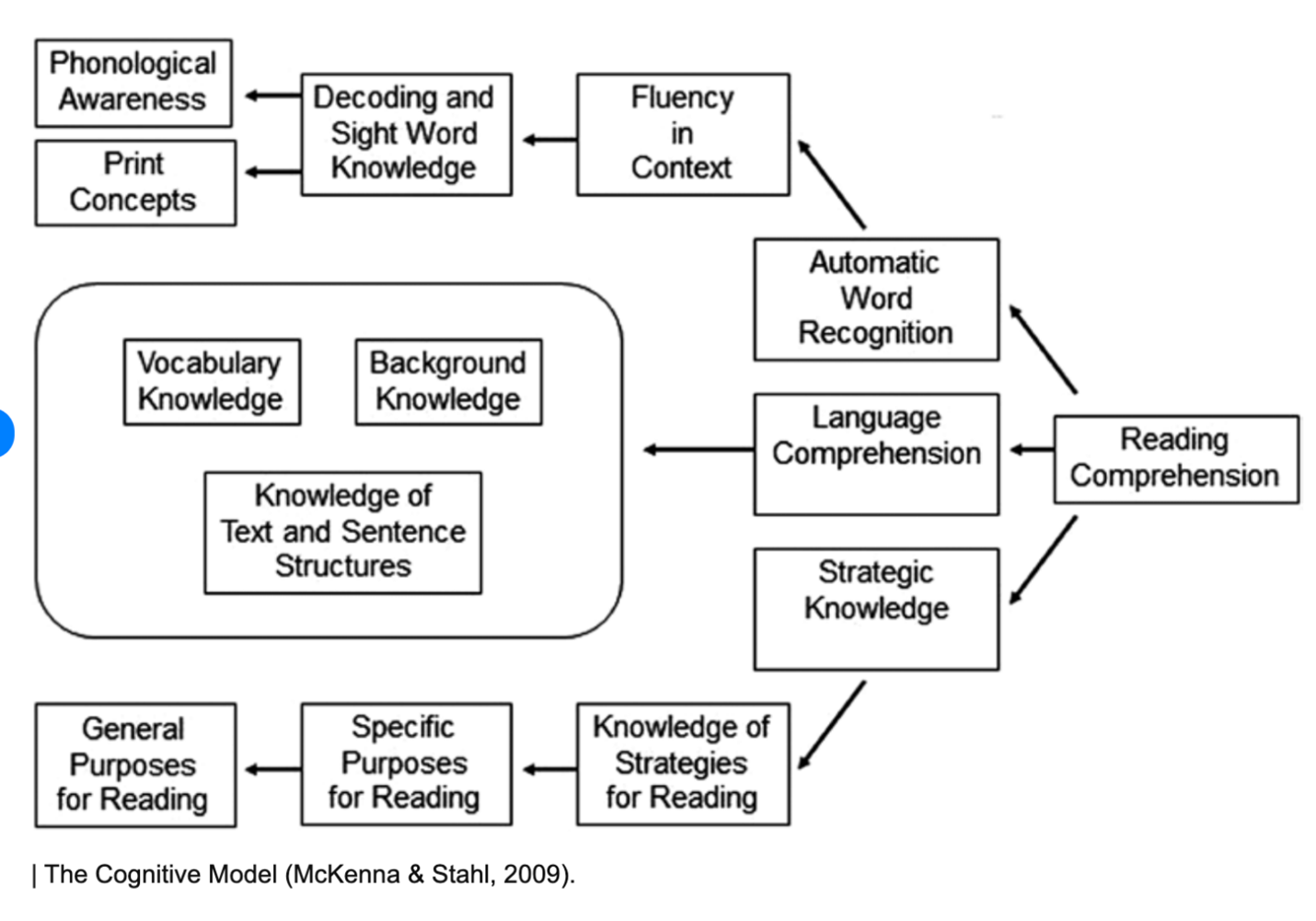 <p><span style="font-family: &quot;Times New Roman&quot;, serif;">Phonological awareness and print concepts</span><span> &gt; decoding and sight words &gt; fluency &gt;</span><span style="font-family: &quot;Times New Roman&quot;, serif;">automatic word recognition</span><span> &gt; reading comprehension</span></p>