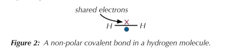<p>…because the atoms have equal electronegativities so the electrons are equally attracted to both nuclei</p>