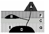 <p>Which relative time principle assumes that rock unit F is younger than rock unit C?</p>