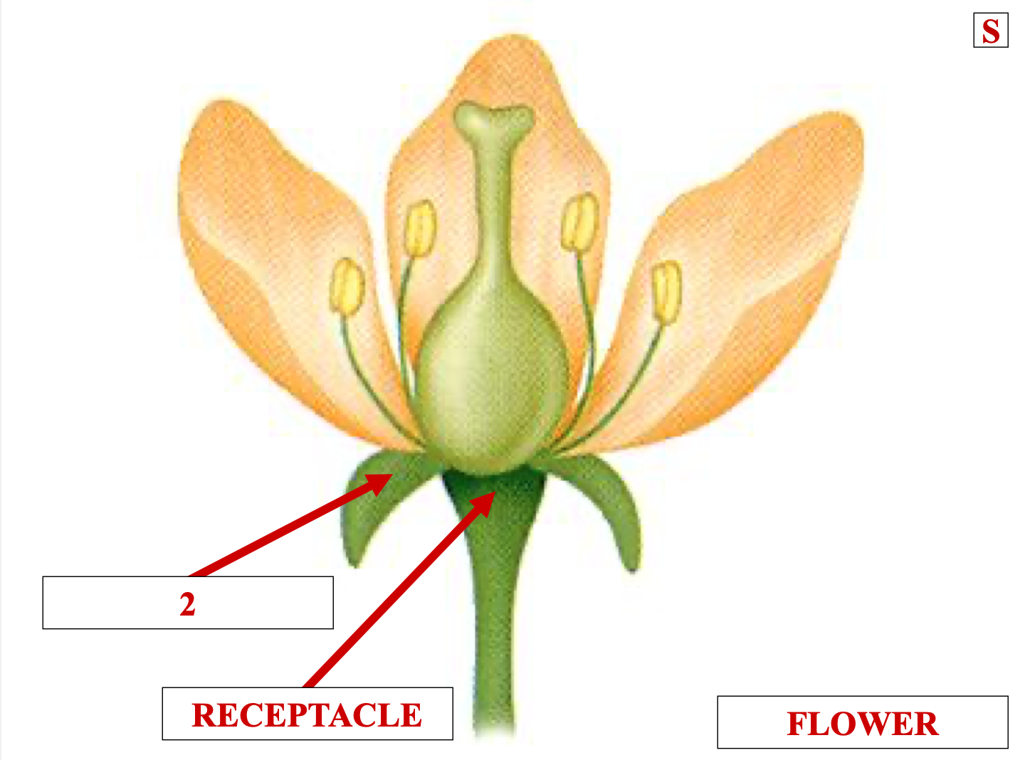 <p>name structure 2</p>