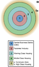 <p>Based on the development of Chicago in the 1920s. Concentric rings are used to classify each type of land use pattern.</p><ul><li><p>Ring #1. Bid-Rent Theory -&gt; The CBD is the location of major economic activity and the most expensive land.</p></li><li><p>Ring #2: Zone of Transition. Factories and industry with a mix of low income apartments.</p></li><li><p>Ring #3.  Another ring of low income housing. High population density, poor living conditions.</p></li><li><p>Rings #4 &amp; 5.As distance from the CBD increases, the cost of land is less expensive -&gt; Larger plots of land -&gt; low population density -&gt; single family homes.</p></li></ul>