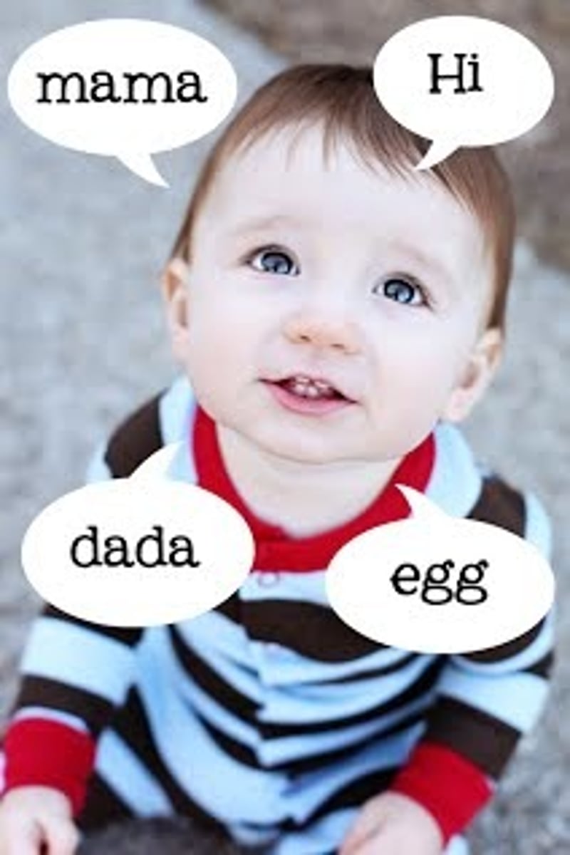 <p>phase in language development, typically around age one, where children use single words to represent whole sentences or ideas.</p>