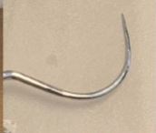 <p>Almost always on opposite end of probe</p><p>Allows for assessment of enamel and pulp exposure</p>