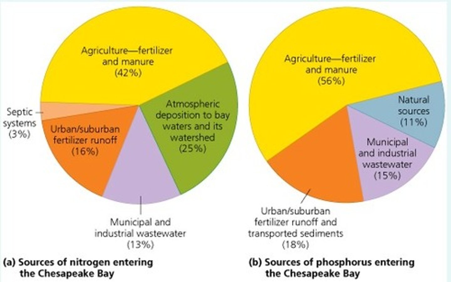 <p>a means of protecting a lake, river, or stream by managing the water that drains into it from people's grass &amp; gardens, and from businesses such as farms and golf courses</p>