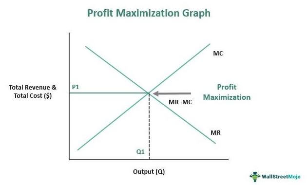 <p><strong>Maximización de beneficios</strong></p>