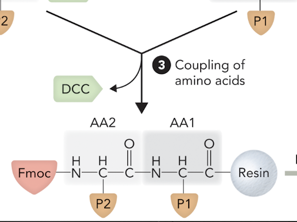 <p>Step 3</p>