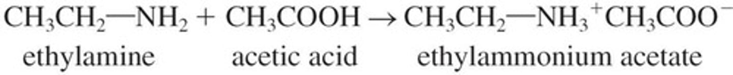 <p>Formed when amines react with strong acids.</p>