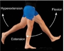 <p><span>Extension beyond anatomical position; angular.</span></p>