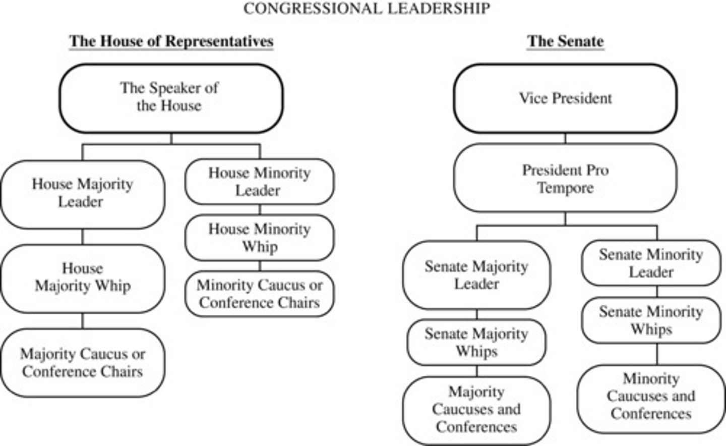 <p>Which of the following is true according to the diagram?</p>
