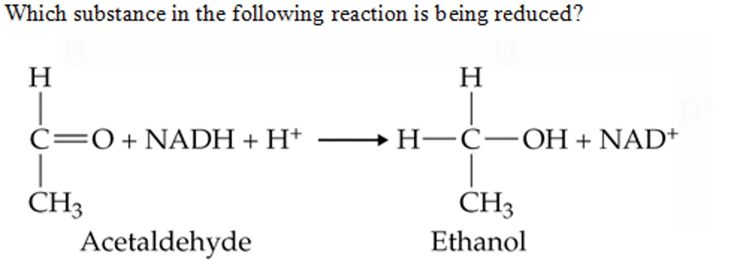 <p>acetaldehyde</p>