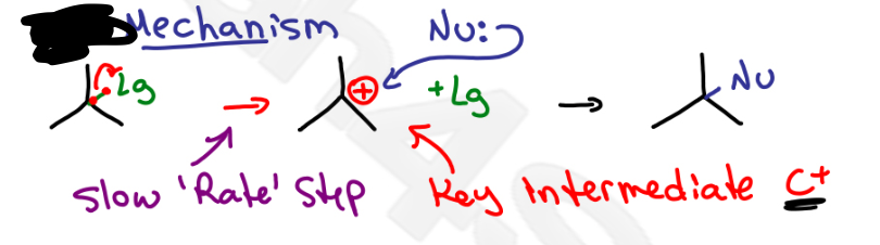 <p>Which mechanism?</p><p><mark data-color="yellow" style="background-color: yellow; color: inherit">C+ (carbocation intermediate), solvent replaces L.G.</mark></p>