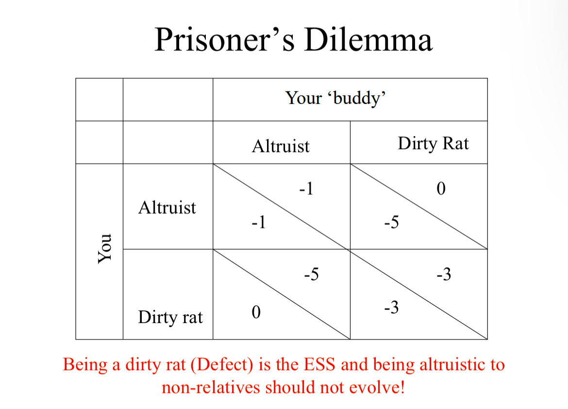 <p>You and companion captured, put in different cells.</p><p>• Police give you an offer: If you inform on your “friend”, he’ll be put away for long time and you get to go free. If you stay quiet, you both go to jail (short time). </p><p>• What do you do?</p>