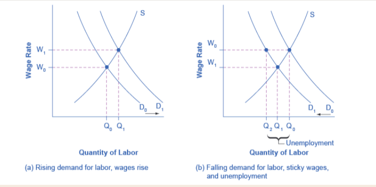 <p>sticky downward - ez to increase hard to decrease wage</p><p></p><p>falling labor = less employment, wage doesnt change</p>