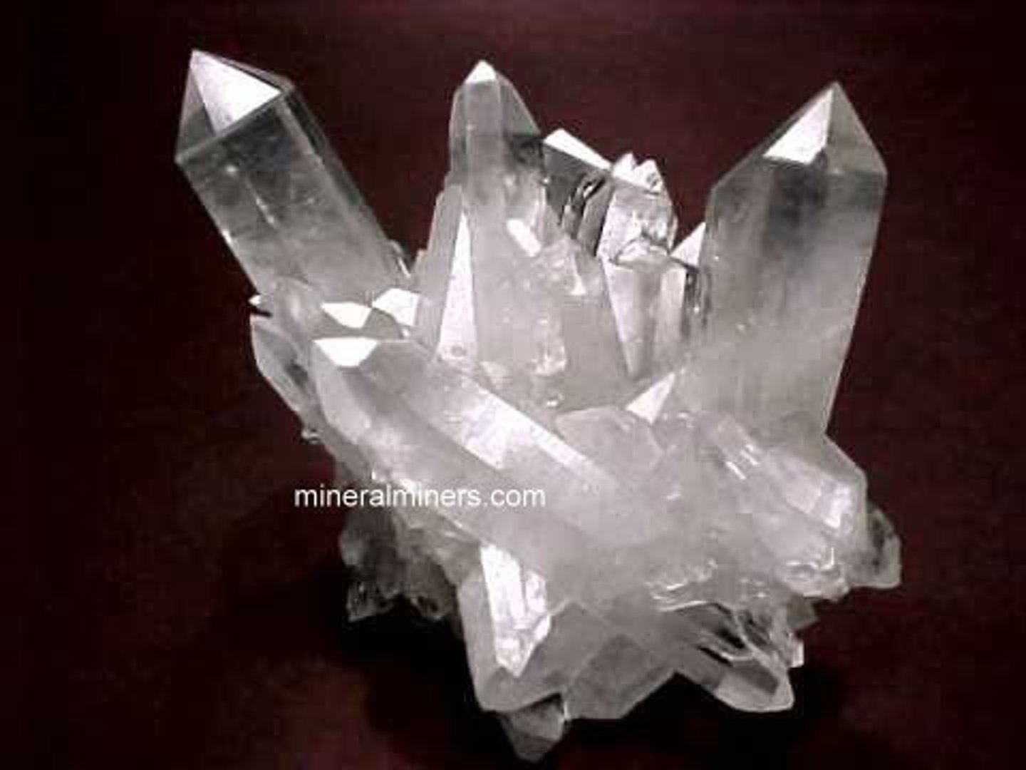 <p>sparkly minerals in a rock</p>