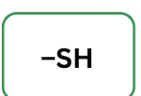 <p>easily oxidized and can form disulfide bonds readily.</p>