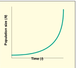 <p>The J-curve is what would happen if there were no biotic or abiotic limiting factors. E.g. Unlimited food, space and water and no competition, parasites, predators and toxic waste products.</p>