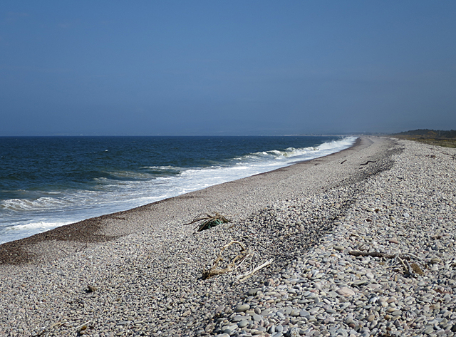 A ridge of material across the beach