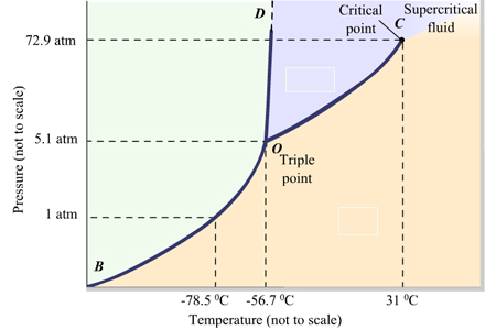 <p>label the phases in the phase diagram </p>