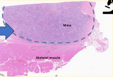 <p>What does this image show?</p>