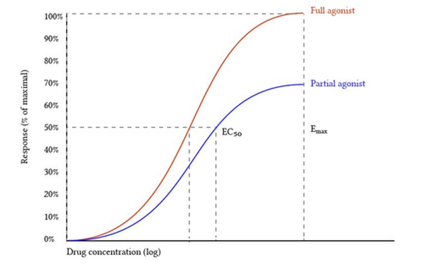 <p>full agonist bind + trigger full, maximal response, while partial agonist produce _____ response even at full occupancy</p>