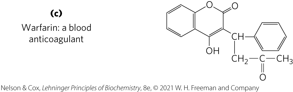 <p><strong>vitamin K </strong>= contains an aromatic ring that undergoes a cycle of oxidation and reduction during the formation of active prothrombin, a blood plasma protein essential in blood clotting</p>
