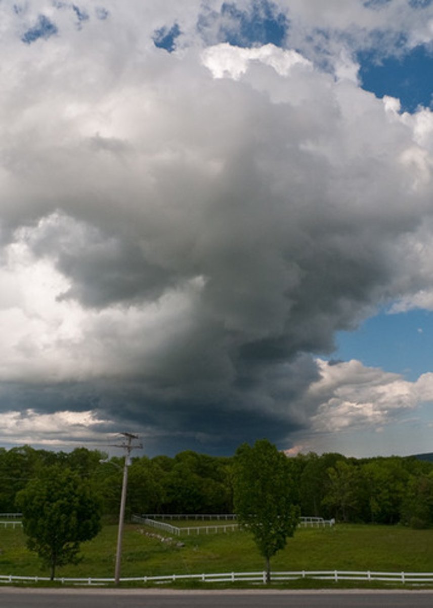 <p>The transfer of thermal energy in a fluid.</p>