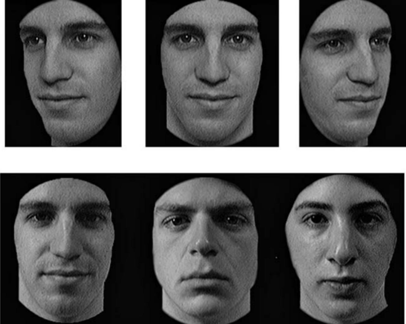 <p>present faces with different poses and orientation</p><p>pose or orientation of target face is now different</p><ul><li><p>require more complex processing as it requires building an object level representation</p></li></ul><p></p>