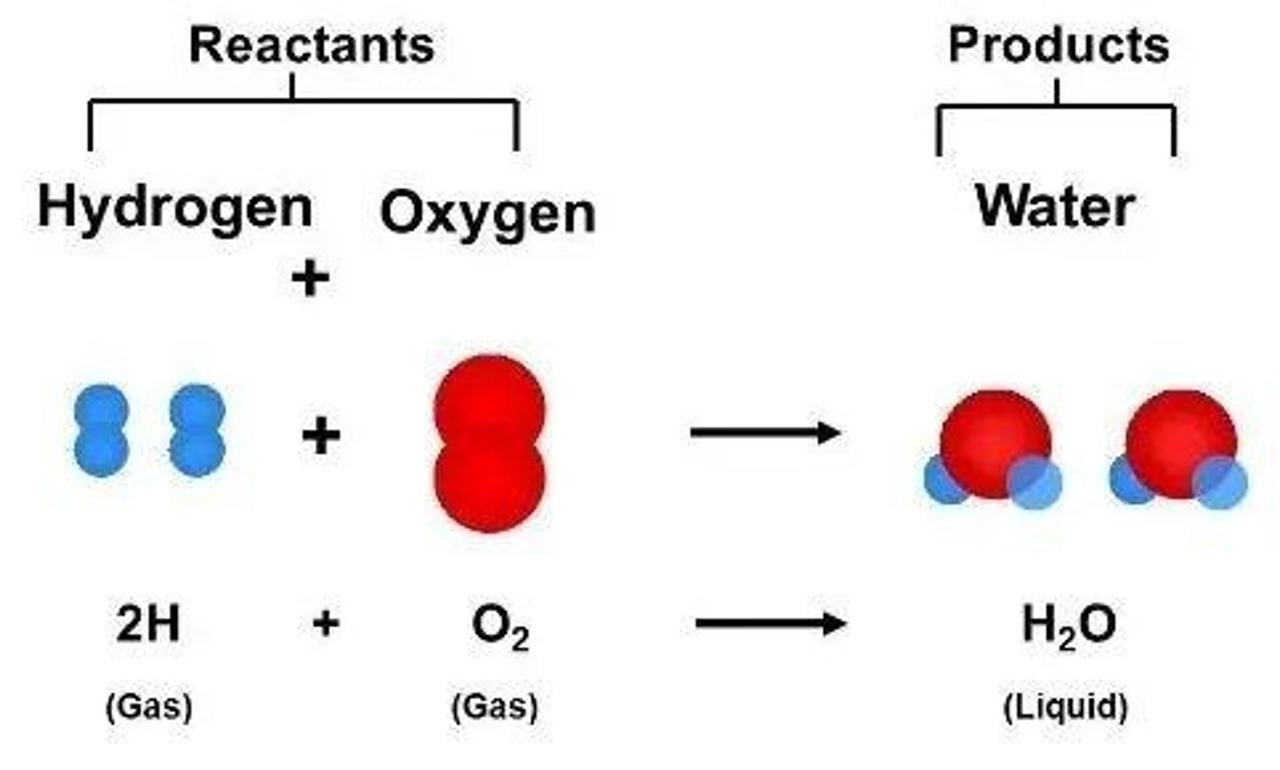 <p>Substances that are formed as a result of the reaction.</p>
