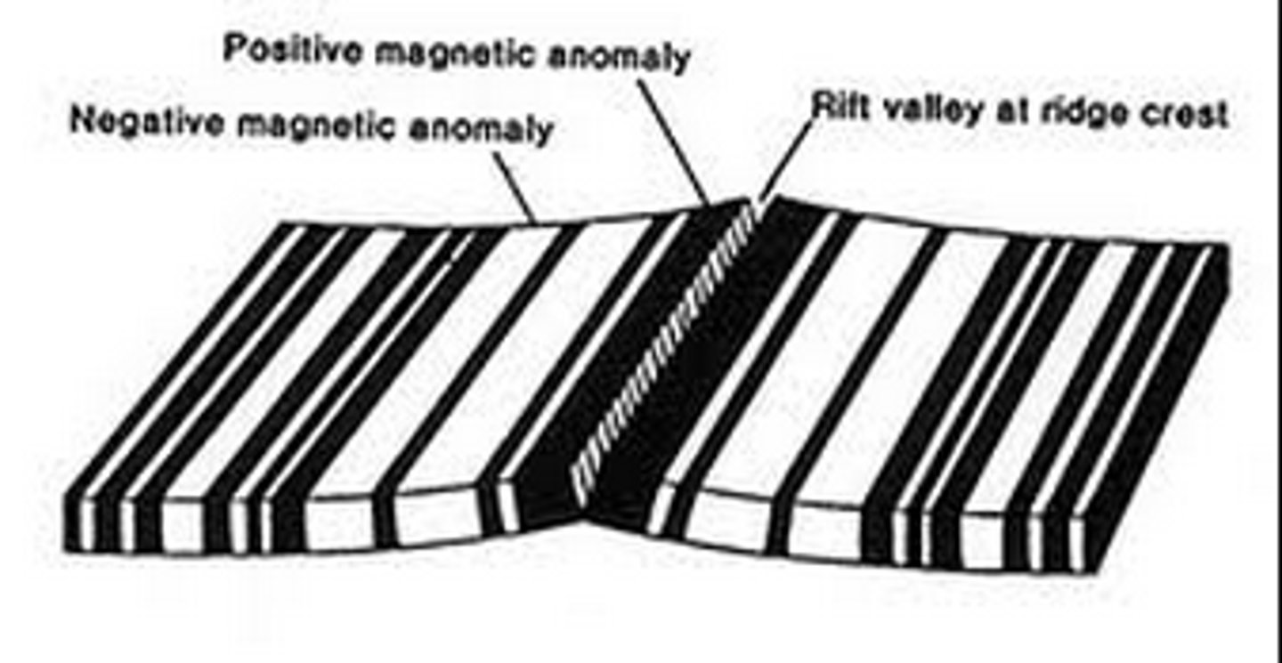 <p>provide evidence of sea floor spreading when they show the reversal of magnetic fields</p>