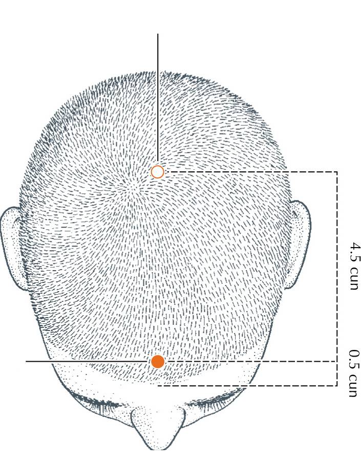 <p>DU-24</p>