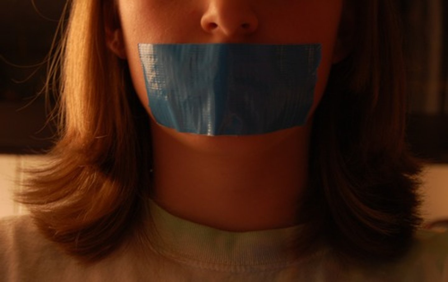 <p>(verb) to suppress what is objectionable</p>