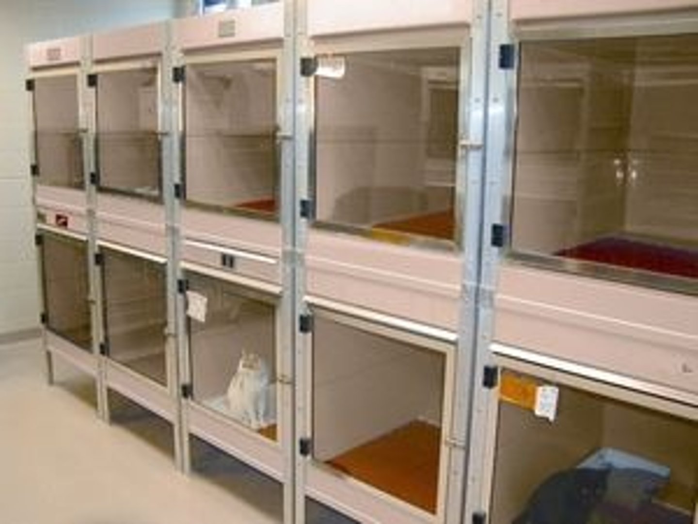 <p>Factors used when calculating cage space requirements for animals</p>