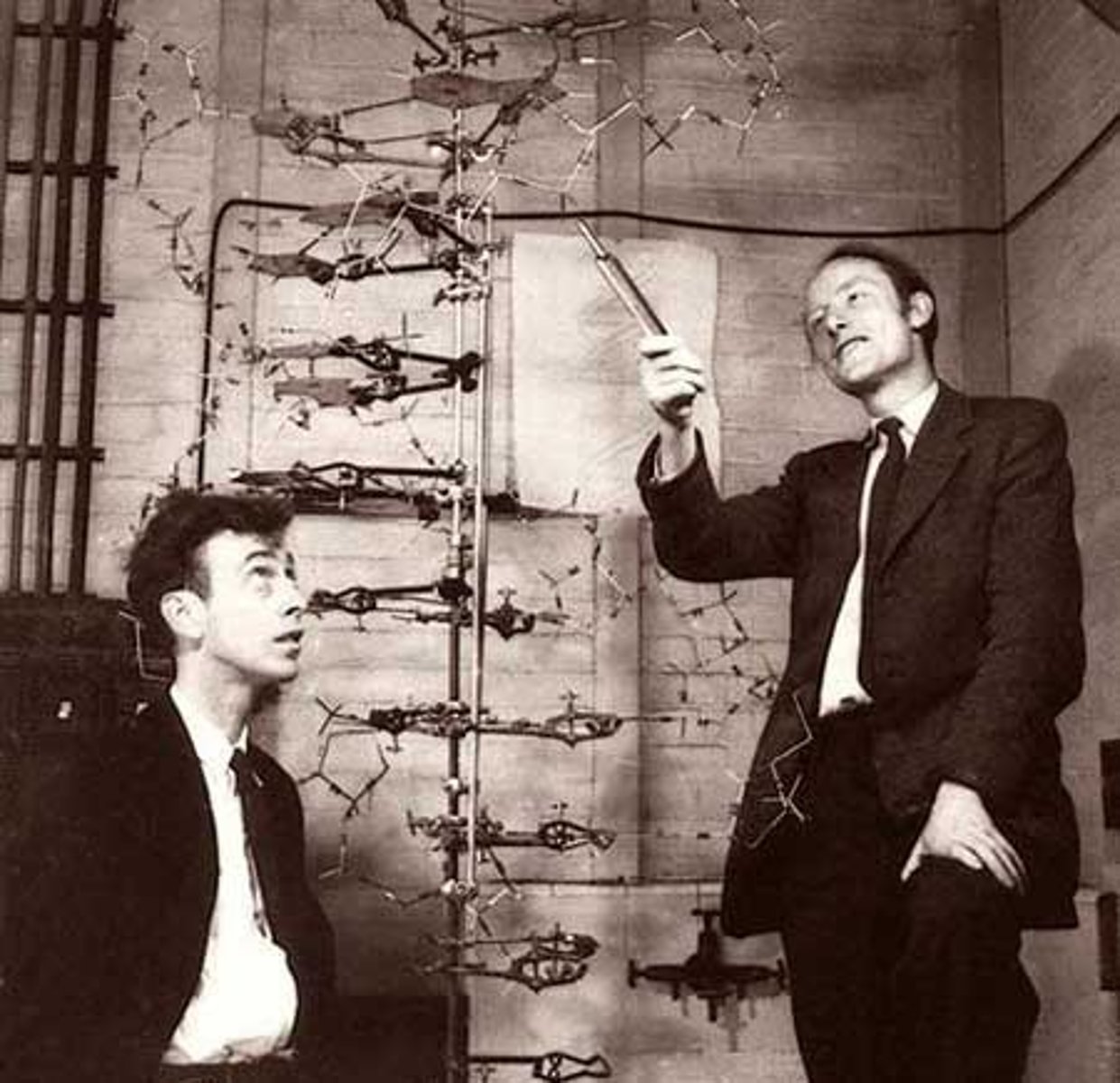 <p>Discovered DNA double helix structure.</p>
